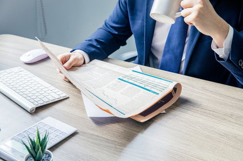 商標評審案件的類型與項目策劃及公關服務的關系