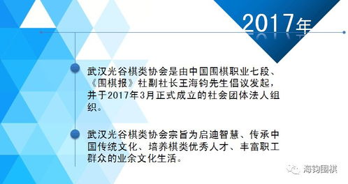 以圍棋的名義服務于國家級自貿區 王海鈞七段與武漢光谷棋類協會的2017項目策劃與公關服務