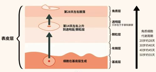 2024祛斑段位榜 寶藏級產品親測，還你干凈無瑕肌膚